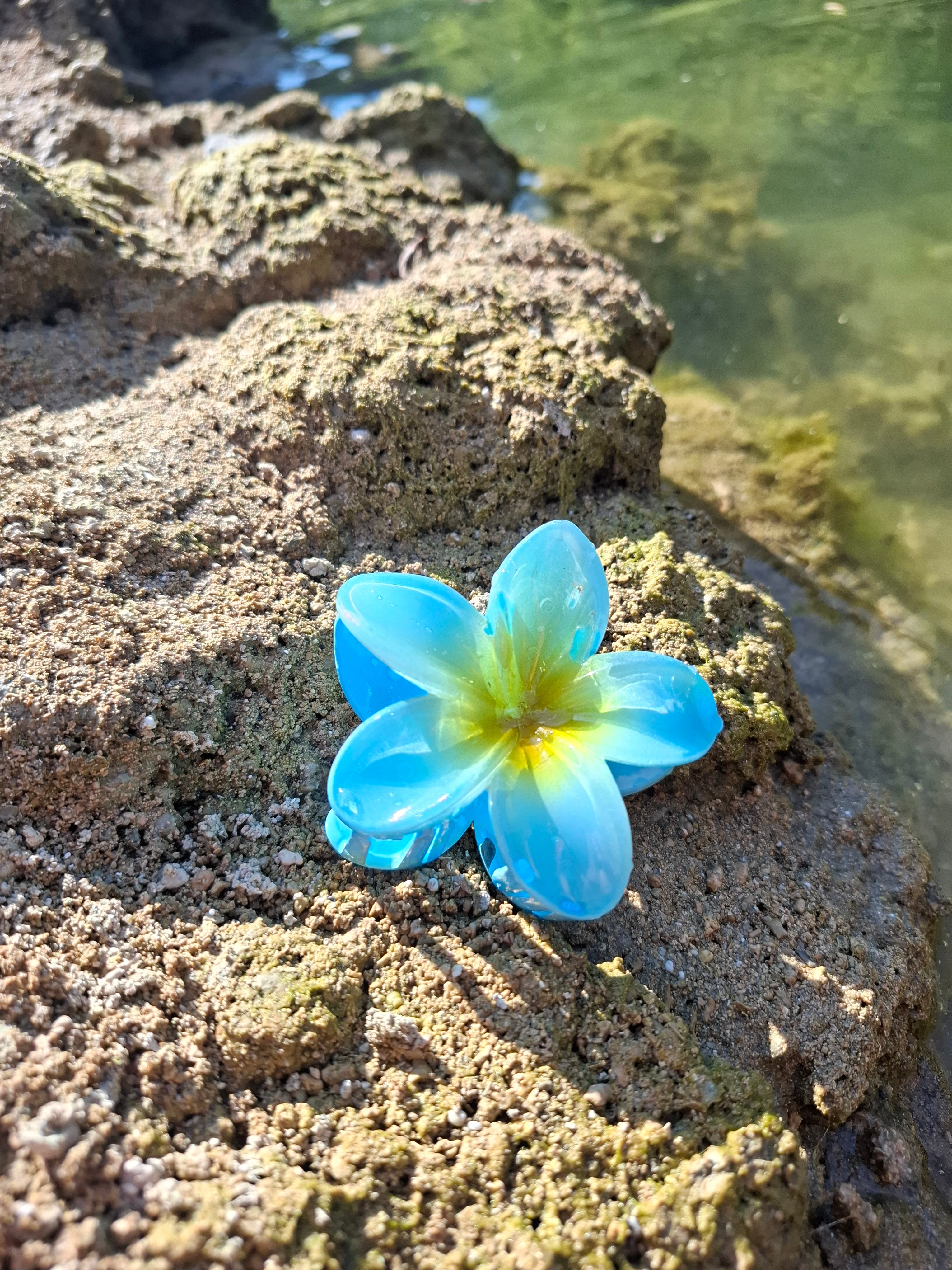 Blue Hibiscus - Hair clip